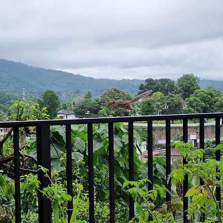 Squirrel'S Nest Hotel Kandy Exterior photo